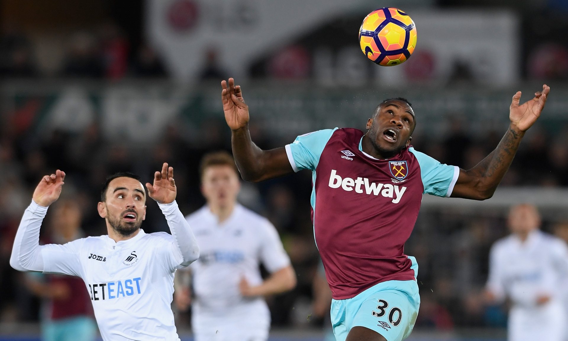 适应能力 适应能力